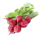 Редис