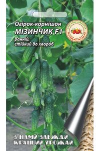 Огурец Мізинчик F1 2 г (самозапильний)