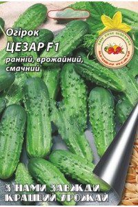 Огірок Цезар F1 0,5 г