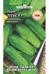 Огірок Тітус F1 0,5 г