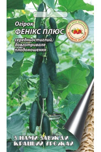 Огірок Фенікс плюс 4 г