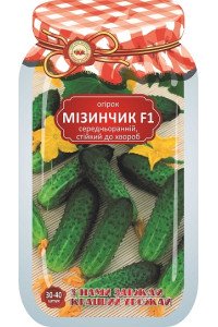 Дражований огірок Мізинчик F1 самозапильний