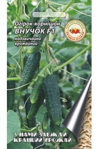 Огірок Внучок F1 2 г