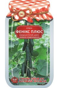 Дражований огірок Фенікс плюс